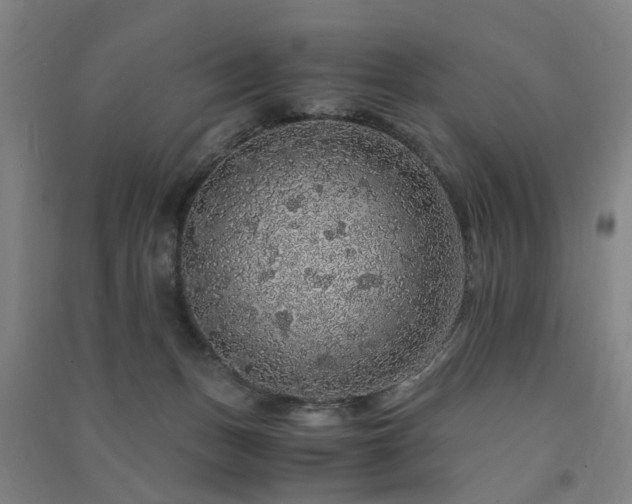 X0000091490175200708161445