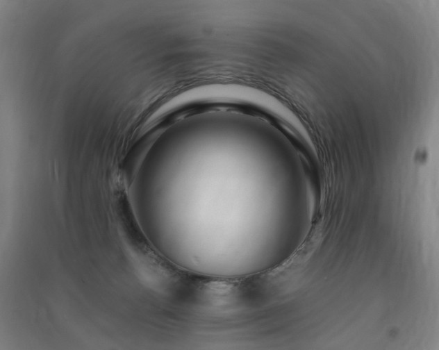 X0000091490176200708161445
