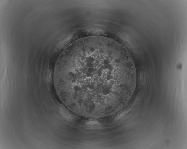 X0000091490177200708161445