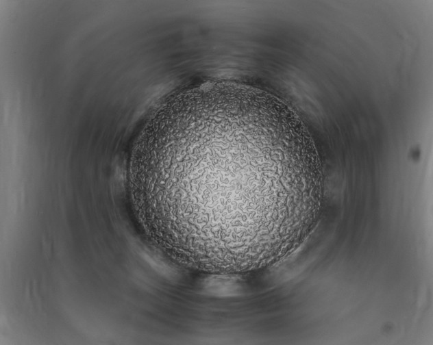 X0000091490179200708161445
