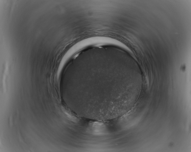 X0000091490180200708161446