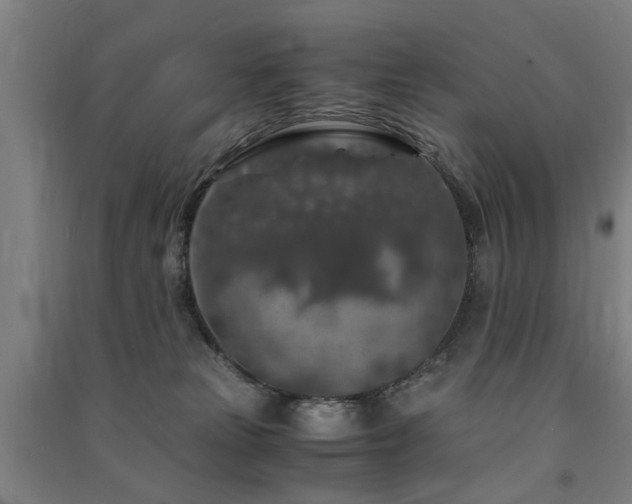 X0000091490181200708161446