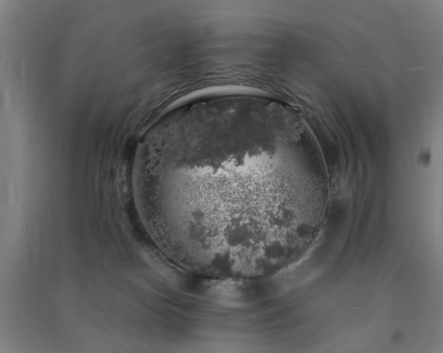 X0000091490182200708161446