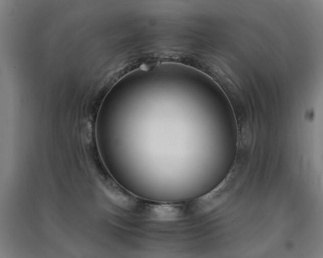 X0000091490183200708161446