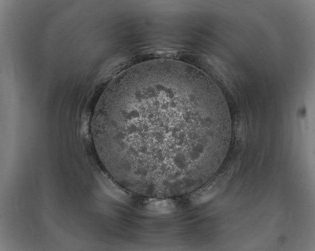 X0000091490185200708161446
