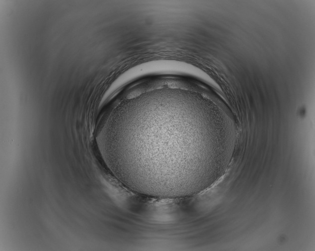 X0000091490186200708161446