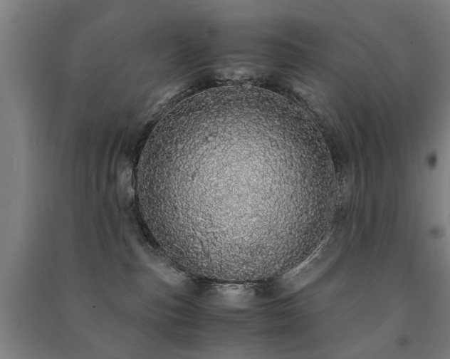 X0000091490187200708161446