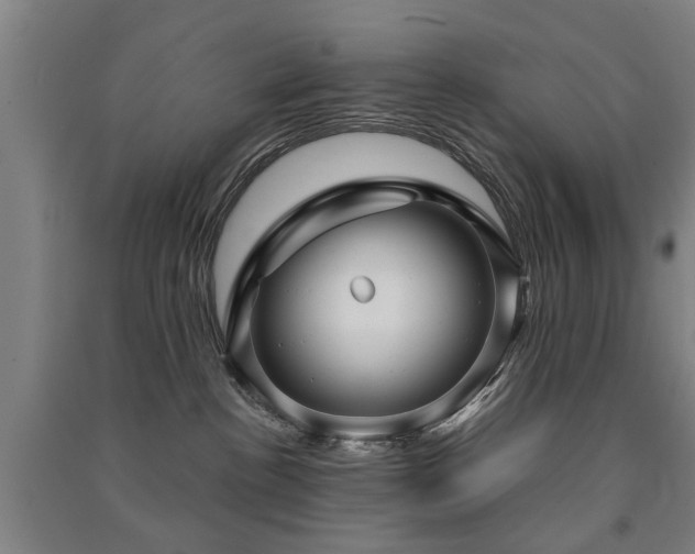 X0000091490188200708161446