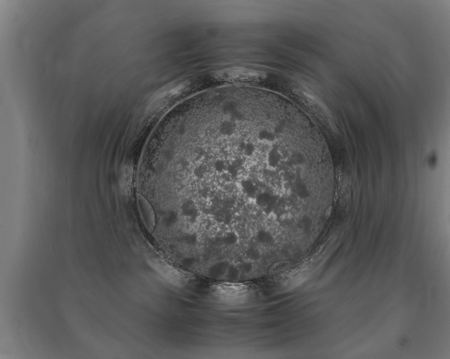 X0000091490189200708161446
