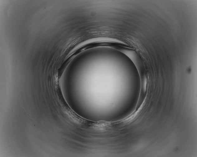 X0000091490190200708161446