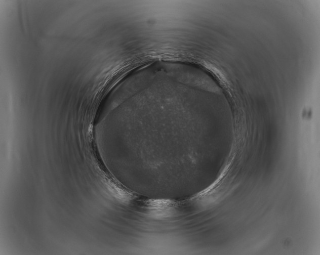 X0000091490192200708161446