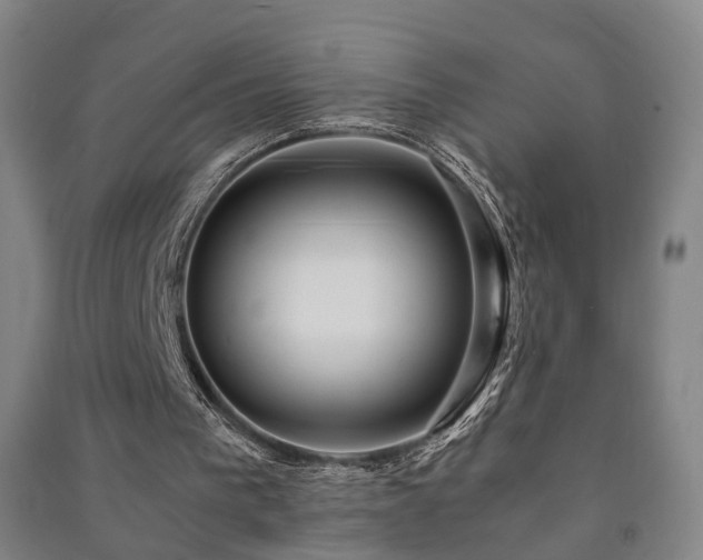 X0000091490193200708161445