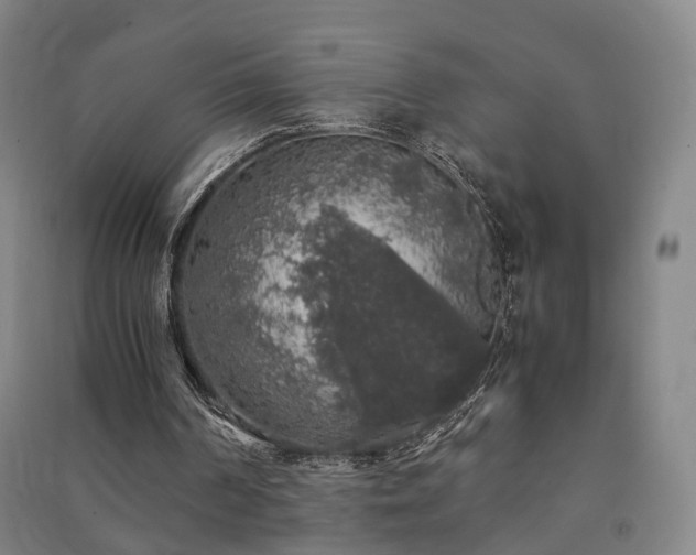 X0000091490194200708161445