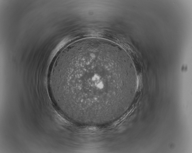 X0000091490195200708161445
