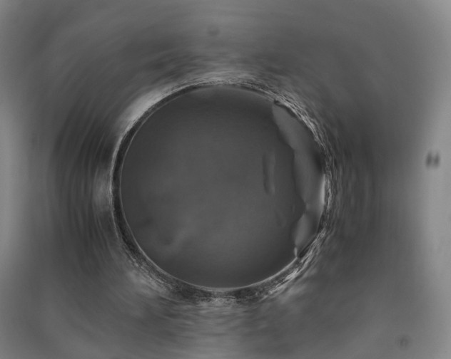 X0000091490196200708161445