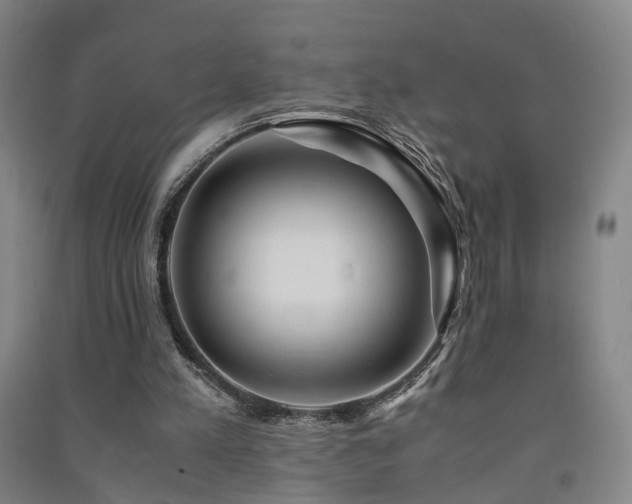 X0000091490197200708161445