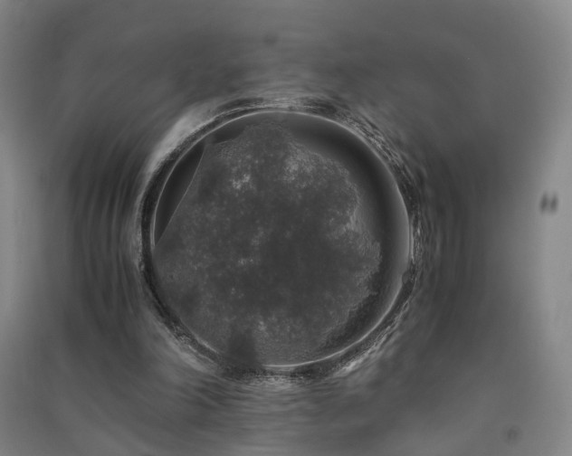 X0000091490198200708161445