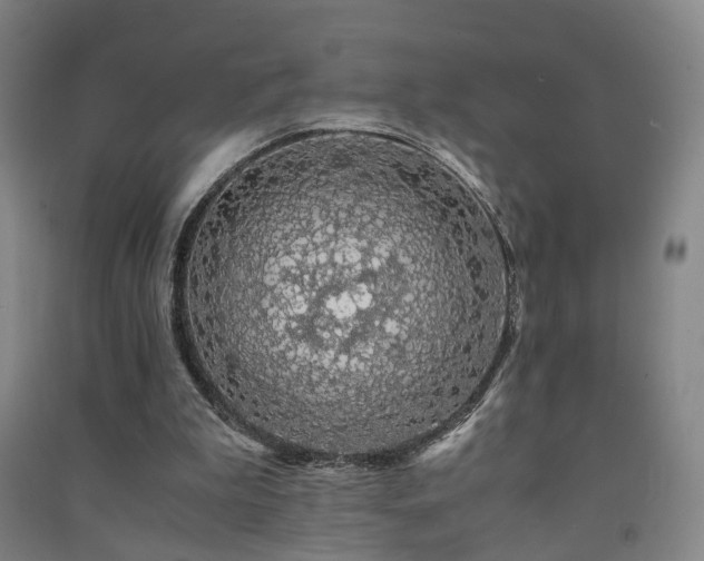 X0000091490199200708161445
