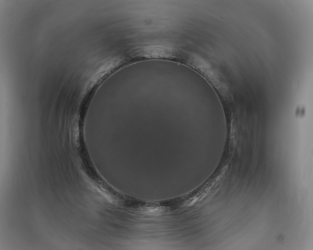 X0000091490202200708161445