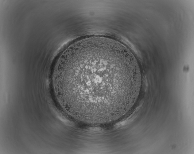 X0000091490203200708161445