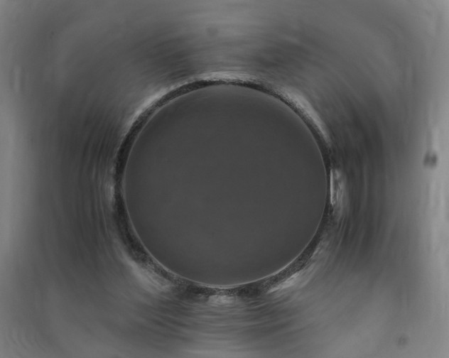 X0000091490204200708161445