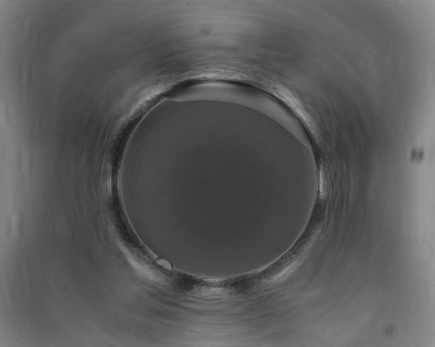 X0000091490205200708161445