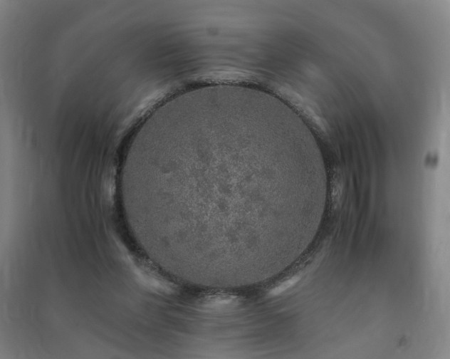 X0000091490206200708161445