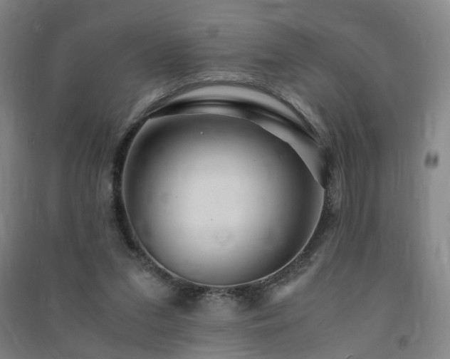 X0000091490207200708161445