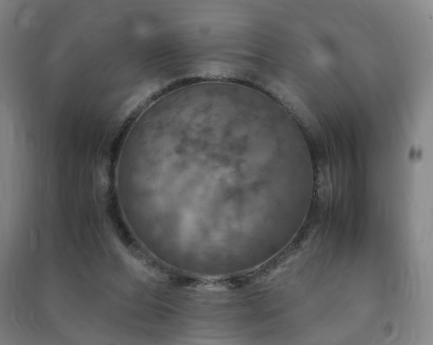 X0000091490208200708161445