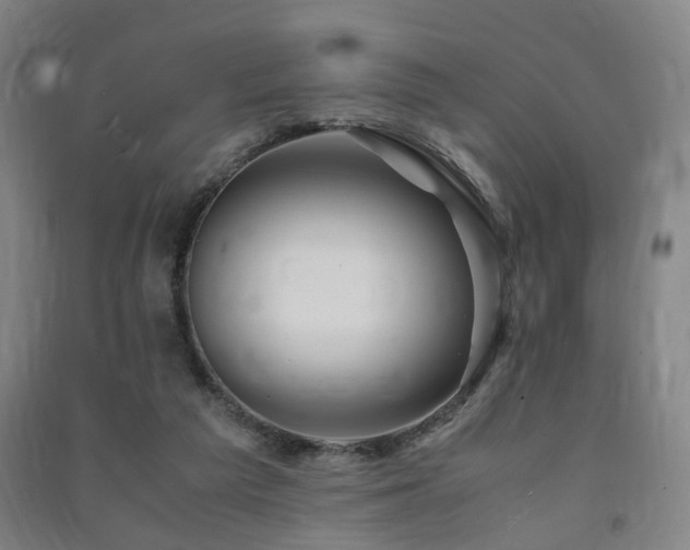 X0000091490209200708161445