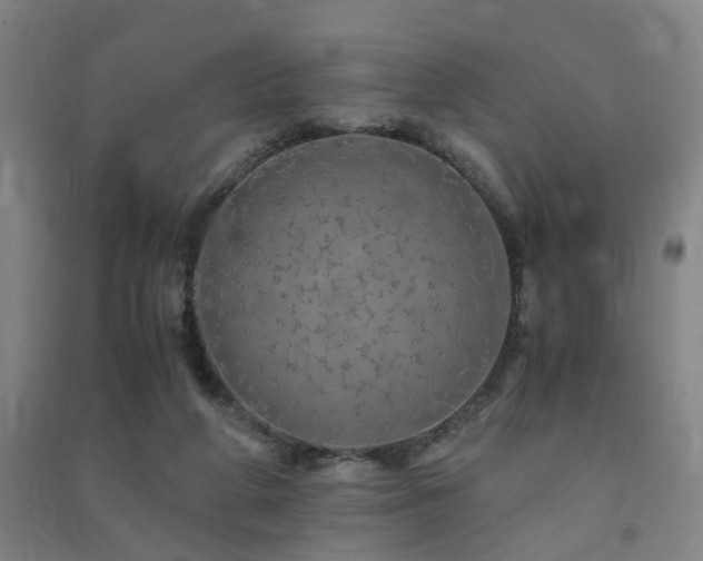 X0000091490210200708161445