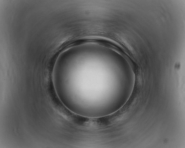 X0000091490211200708161445
