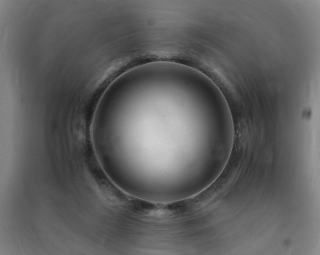 X0000091490212200708161445