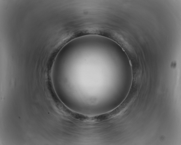 X0000091490213200708161445