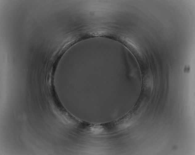 X0000091490214200708161445