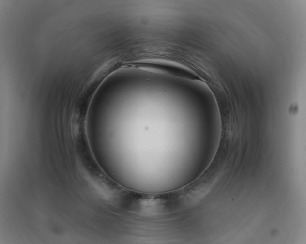 X0000091490216200708161445