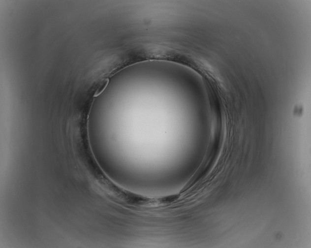 X0000091490217200708161445