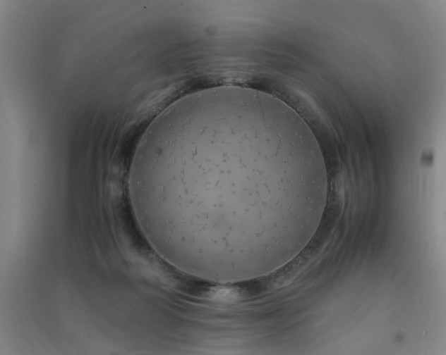 X0000091490218200708161445