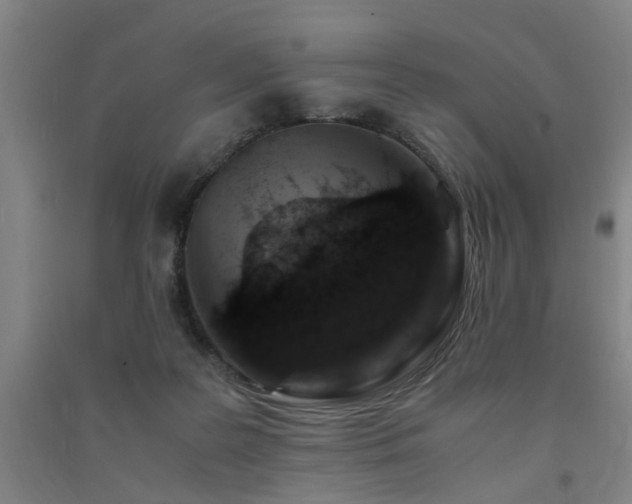 X0000091490219200708161445