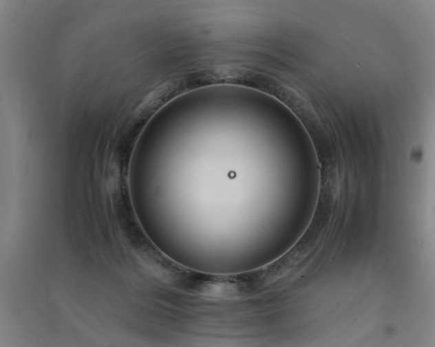 X0000091490220200708161445