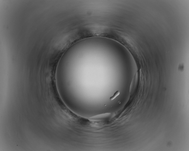 X0000091490221200708161445