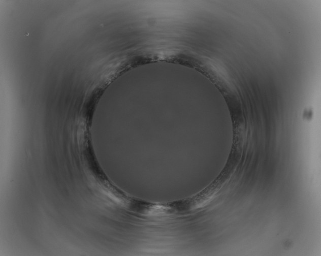 X0000091490222200708161445