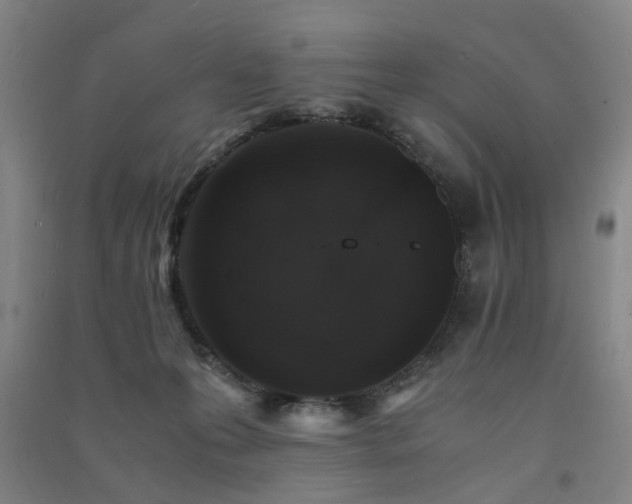 X0000091490223200708161445