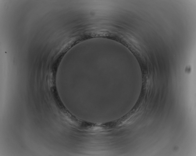 X0000091490224200708161445