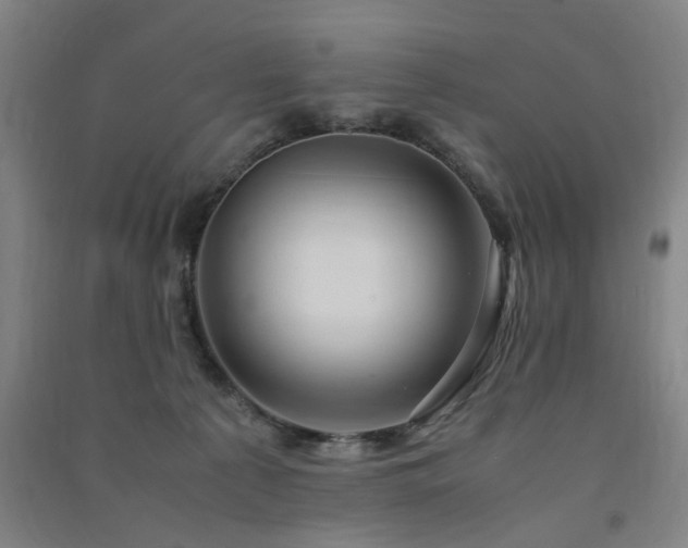 X0000091490225200708161445