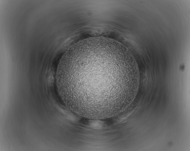 X0000091490226200708161445