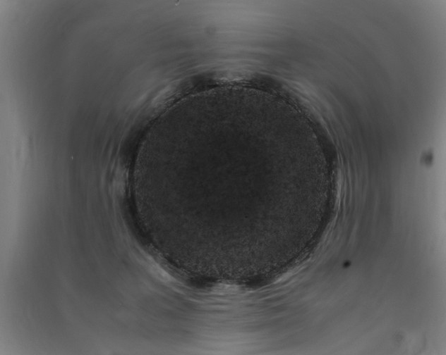 X0000091490227200708161445