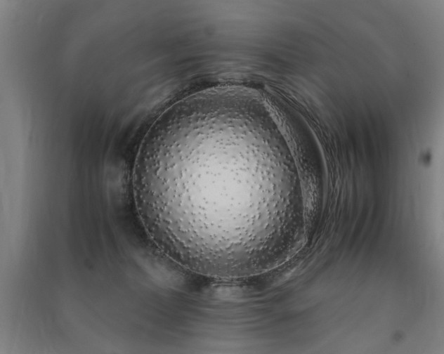 X0000091490228200708161445