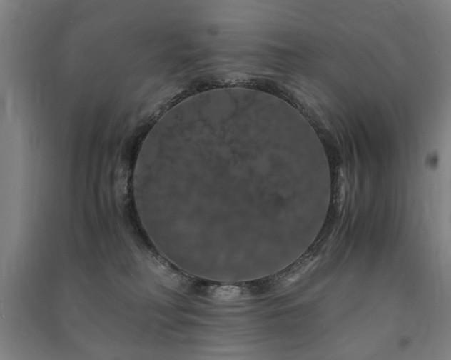 X0000091490230200708161445