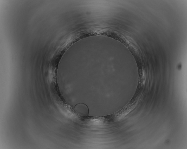 X0000091490236200708161445